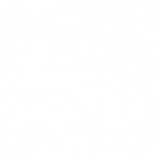 Meet your Posher, Unicorn Story